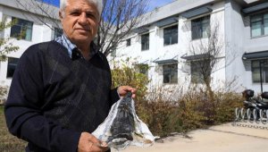 'Balon balığının derisi cüzdan yapılsın' önerisi