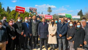 Ak Parti'den ağaç katliamına tepki