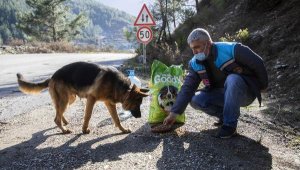 Alanya Belediyesi sokak hayvanlarını unutmadı