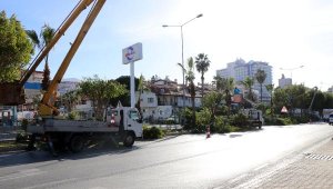 Alanya Belediyesi'nden budama çalışmaları