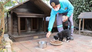 Alanya'da can dostlar için mama
