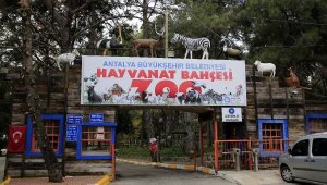 Antalya Hayvanat Bahçesi kapılarını ziyarete açıyor