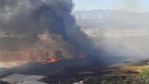 Antalya'da sazlık alanda yangın