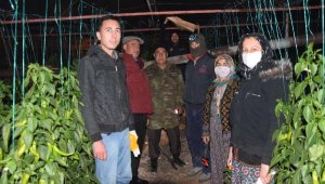Antalya'da üretici don nöbetinde