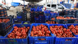 Antalya'dan dünyaya meyve ve sebze ihracı