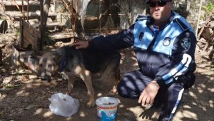 Cezaevinden yazılan dilekçeyle hayvanlar ölmekten kurtuldu