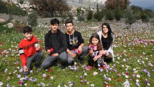 Demre'de çiçekler açtı, baharı andıran görüntüler oluştu