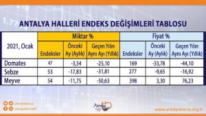 Domates fiyatında rekor düşüş, meyvede rekor artış