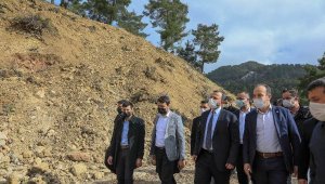 Dört siyasi parti, ağaç katliamına karşı birleşti
