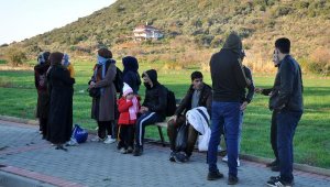 Gazipaşa'da seralarda saklanan 32 kaçak göçmen yakalandı