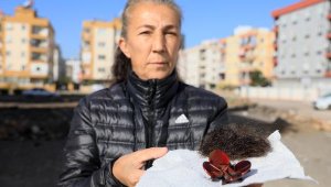 Kadir Şeker'in öldürdüğü Özgür Duran'ın annesine saldırı