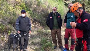 Kayalıklarda mahsur kalan keçi kurtarıldı