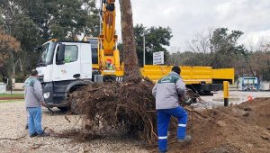 Kemer Belediyesi'nden yeşil alan çalışmaları