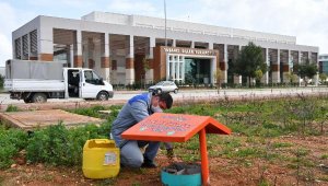 Konyaaltı Belediyesi'nden AÜ'ye beslenme odağı