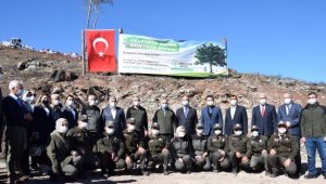 Kumluca'da yanan alana tohum saçıldı