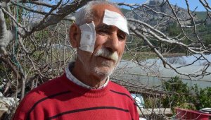 Kuş avlayan kardeşlerin tüfeğinden çıkan saçmalar, başına isabet etti