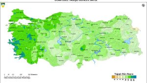 Ocak ayı yağışları sevindirdi