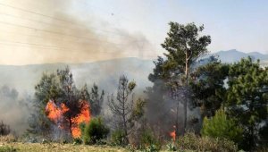 Orman yangını büyümeden söndürüldü