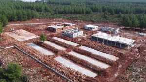 Sokak Hayvanları Bakımevi Projesi yükseliyor
