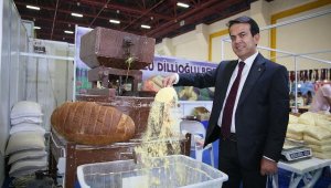 Tohumdan ateşe ekmek
