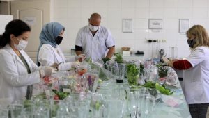 Turizm kenti Antalya'da tüketilen gıdalar laboratuvarda inceleniyor
