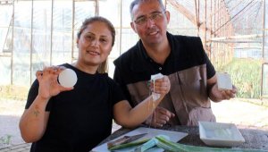 Yüzündeki alerjiyi geçiren bitkinin üreticisi oldu