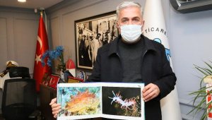 Akdeniz'in saklı ve renkli dünyası