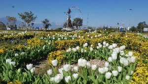 Antalya lale açtı
