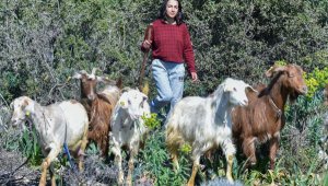 Çoban Kader'in hayali milli takım forması