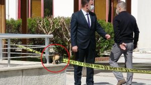Hastane bahçesinde kafatası bulundu