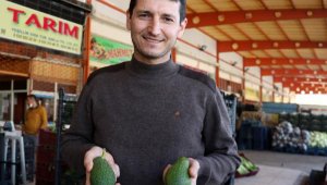 Koronavirüs döneminde avokadoda talep patlaması