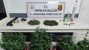 Manavgat'ta uyuşturucu operasyonları