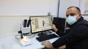 Prof. Dr. Çetin: Sivrisinek koronavirüs taşımıyor