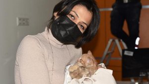 Tavan arasında mahsur kalan yavru kedi kurtarıldı