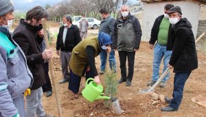 Yakaköy'de fidanlar toprakla buluştu
