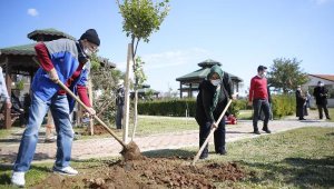 Yaşlılar Haftası'nda huzurevi sakinleri ağaç dikti