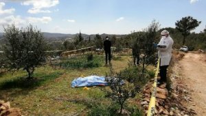 Zeytin ağaçlarını kestiği gerekçesiyle tartıştığı ağabeyini öldürdü