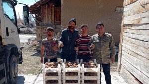 Biyolojik mücadele için Korkuteli'de patates yetiştirilecek