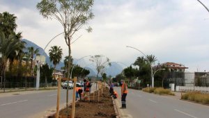 Kemer'de sezon öncesi yoğun mesai