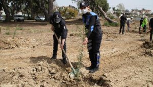 Manavgat'ta emniyet mensupları fidan dikti