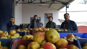Para etmeyen tonlarca elma ve armut, meyve suyu olacak