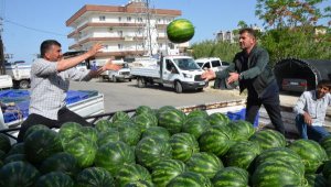 Antalya'da karpuz hasadı başladı