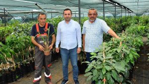 'İhracat yapan firmalarımızı destekliyoruz'