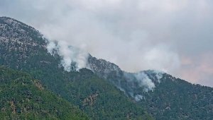 Alanya'daki orman yangını kontrol altında
