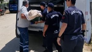 Betül bebek bıçaklanmış olarak ölü bulundu, anne gözaltına alındı