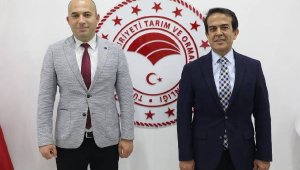 Çilek kitap oldu