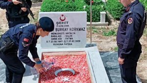 Jandarma, şehit mezarlarının bakımını yaptı