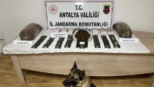 Jandarmadan kaçak tütün baskını