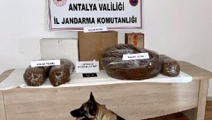 Jandarmadan kaçak tütün baskını