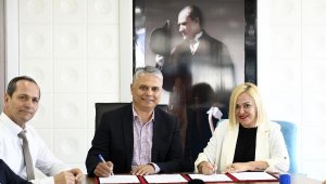 Kamu arazisi araç kiralama şirketlerinin deposu olarak kullanılacak